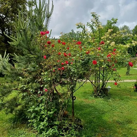 Edenski Vrt 펜션 *