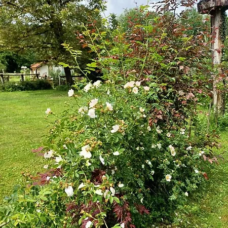 Edenski Vrt Ivancna Gorica