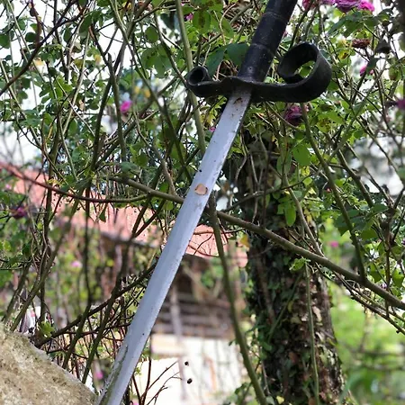 Edenski Vrt Dom wakacyjny Ivancna Gorica
