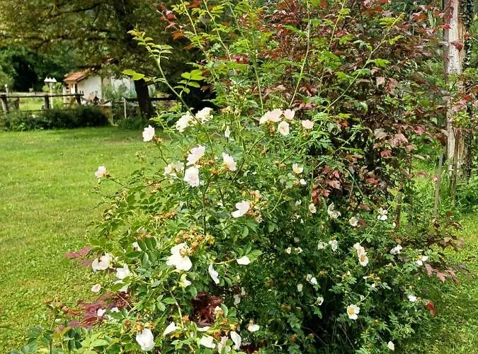 Edenski Vrt Ivancna Gorica